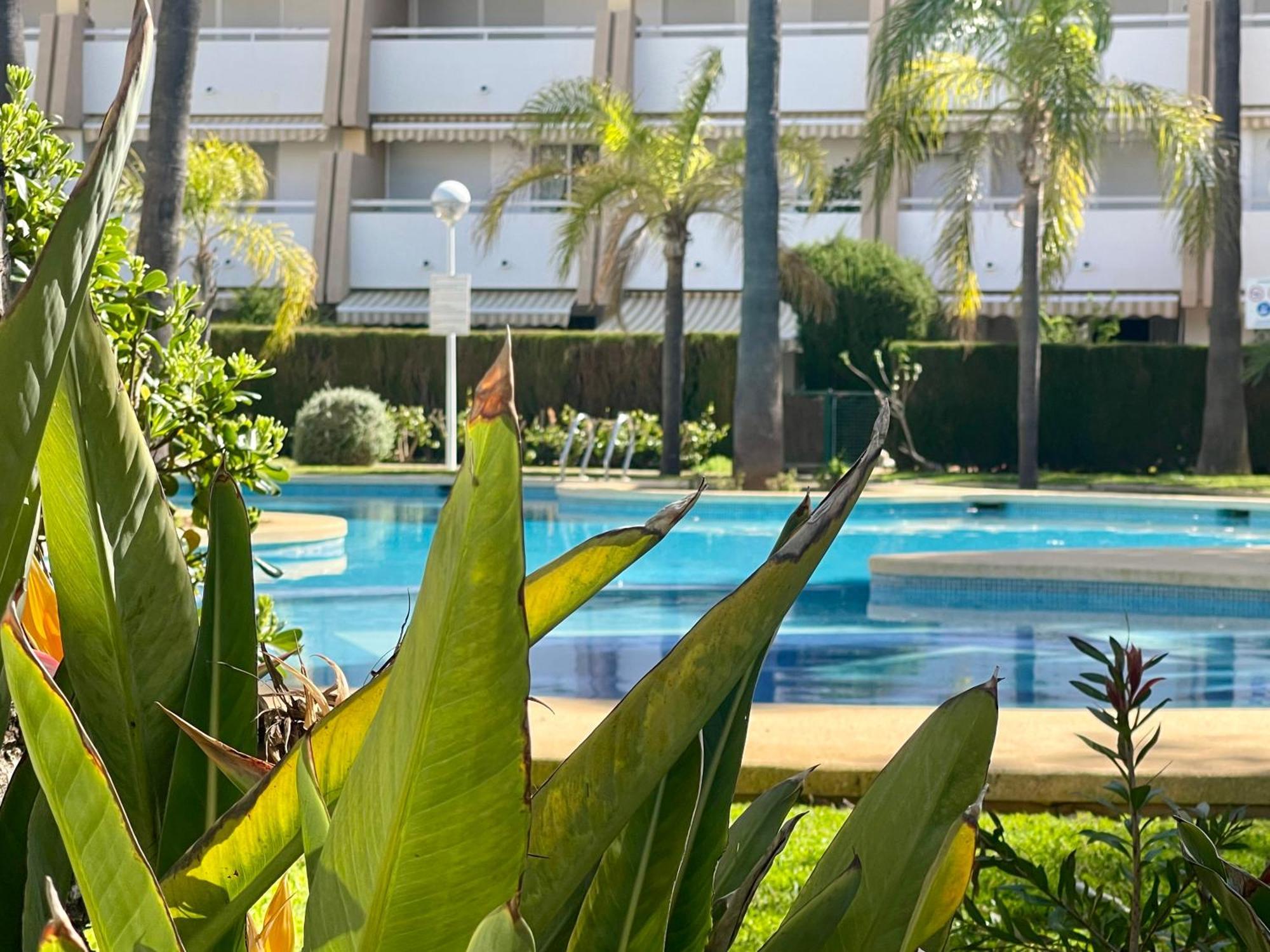 The Beach House Playa Del Arenal Javea - Pool And Garden Steps From The Beach Platja de Larenal Bagian luar foto